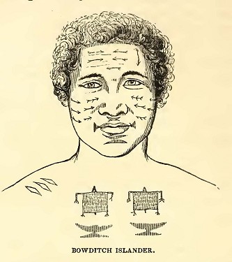 Bowditch Islander. Drawn by A. T. Agate.<br />&nbsp; &nbsp; &nbsp; 	Engraved by R. H. Pease.