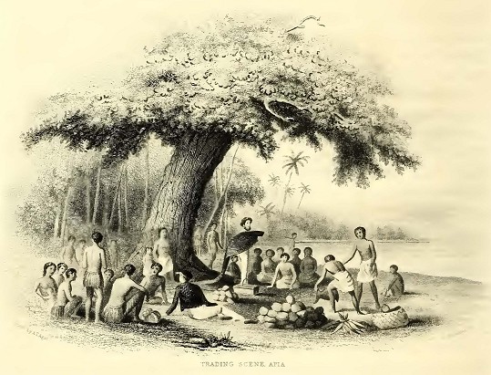 Trading, Apia. Sketched by A. T. Agate.<br />&nbsp; &nbsp; &nbsp; 	Engraved by E. Gallaudet.