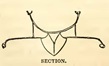 Section
