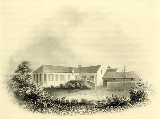 Long wood. Sketched by A. T. Agate.<br />&nbsp; &nbsp; &nbsp; 	Engraved by Smillie and Hinchelwood.