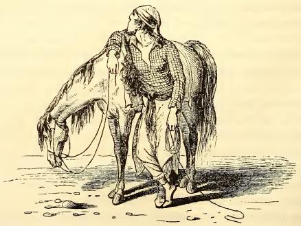 Guacho. Sketched by J. Drayton. Engraved by R. S. Gilbert.