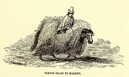 Taking Grass to Market. Sketched by J. Drayton. Engraved by R. H. Pease.