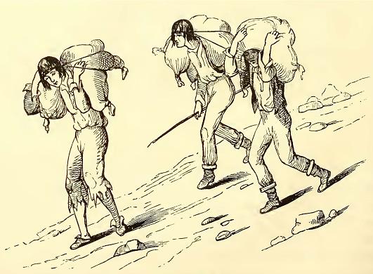 Wine-Carriers. Sketched by J. Drayton. Engraved by R. 8. Gilbert.