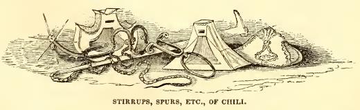 Stirrups. Spurs. &c. Sketched by J. Drayton. Engraved by R. H. Pease.