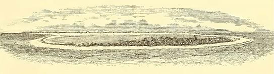 Low Coral Island. Drawn by A. T. Agate. Engraved by M. Osborne.