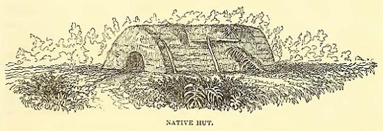 Native Hut. Sketched by A. T. Agate. Engraved by J. H. Brightly.