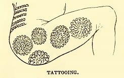 Tattooing. Sketched by J. Drayton. Engraved by R. H. Pease.