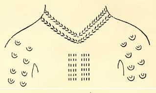 Tattooings. Sketched by J. Drayton and A. T. Agate. Engraved by B. F. Childs.