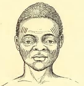 Mundjola. Sketched by J. Drayton. Engraved by J. H. Brightly.