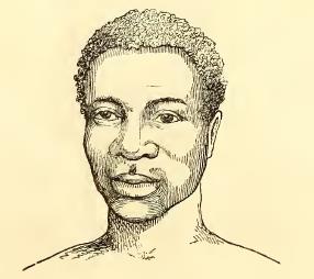 Benguelan. Sketched by A. T. Agate. Engraved by J. H. Brightly.