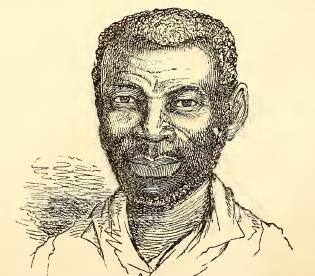 Kasangi. Sketched by A. T. Agate. Engraved by J. H. Brightly.