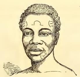Makuan. Sketched by A. T. Agate. Engraved by J. H. Brightly.