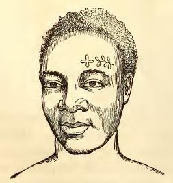 Takwani. Sketched by A. T. Agate. Engraved by J. H. Brightly.
