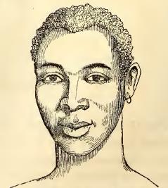 Caffre Proper. Sketched by A. T. Agate.<br />
Engraved by J. H. Brightly.