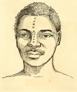 Nyambana. Sketched by A. T. Agate. Engraved by J. H. Brightly.