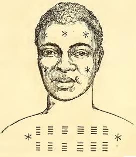 Mudjana. Sketched by A. T. Agate. Engraved by J. H. Brightly.