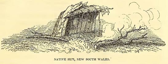 Native Hut, N. S. W. Sketched by J. Drayton. Engraved by J. H. Brightly