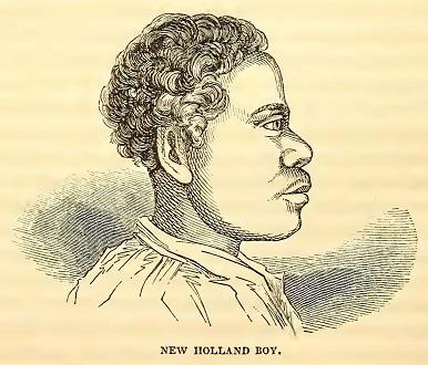 New Holland Boy. Sketched by A. T. Agate. Engraved by J. J. Butler