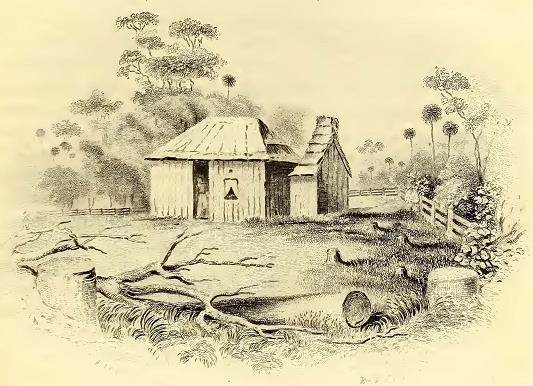 Settler's Cottage. Drawn by A. T. Agate. Engraved by W. H. Ellis