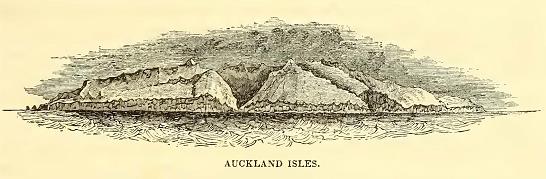 Auckland Isles. Sketched by G. M. Totten, U. S. N. Engraved by R. O'Brien
