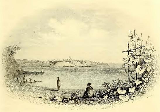 New Zealand Pa. Drawn by A. T. Agate. Engraved by A. W. Graham