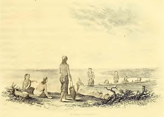 Fishery, Tahiti. Drawn by A. T. Agate. Engraved by A. C. Warren