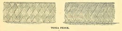 Tonga Fence. Sketched by A. T. Agate. Engraved by R. S. Gilbert.