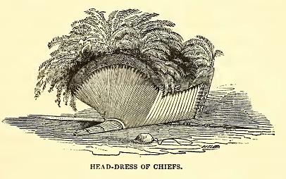 Head-dress of Chiefs. Sketched by A. T. Agate Engraved by J. J. Butler.