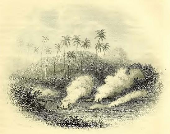 Waicama, Feejee. Sketched by J. Drayton. Engraved by Smillie and Hinchelwood.