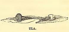 Ula. From the Collection. Engraved by R. H. Pease.
