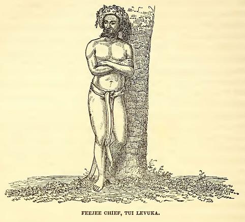 Tui Levuka. Sketched by J. Drayton.