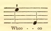Music. Sketched by J. Drayton.