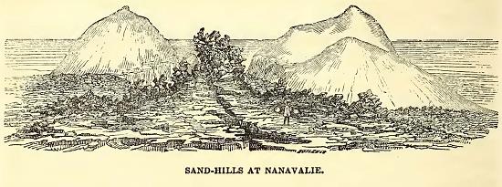 Sand-Hills. Drawn by J. Drayton. Engraved by J. J. Butler.