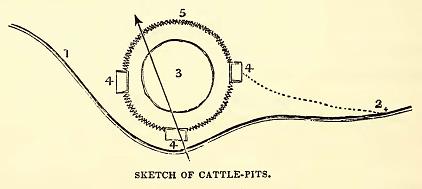 Cattle-Pen. Drawn by William D. Brackenridge. Engraved by R. S. Gilbert.