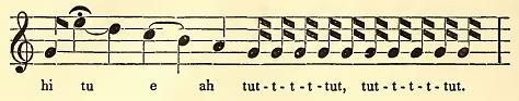 Music. Drawn by J. Drayton.
