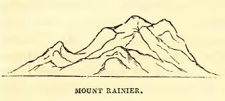 Mount Rainier. Drawn by R. E. Johnson, U. S. N. Engraved by R. S. Gilbert.