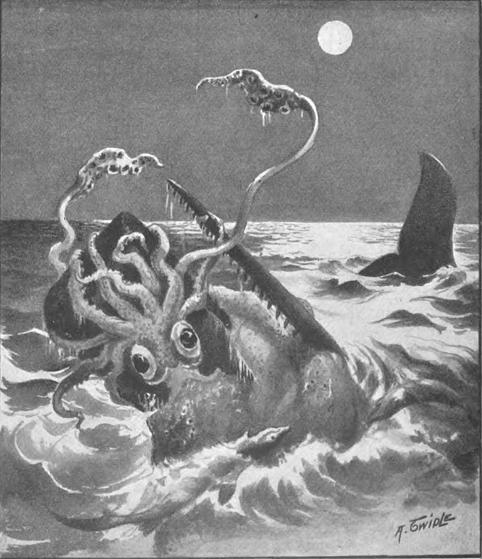 A VERY LARGE SPERM WHALE WAS LOCKED IN DEADLY CONFLICT WITH A SQUID.