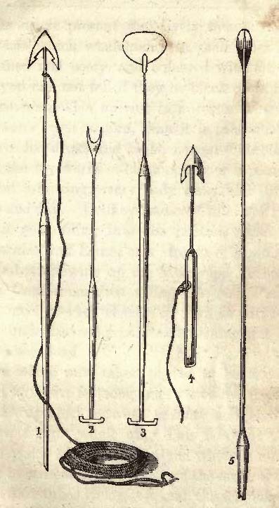 Whaling harpoons,spade, and lance.
