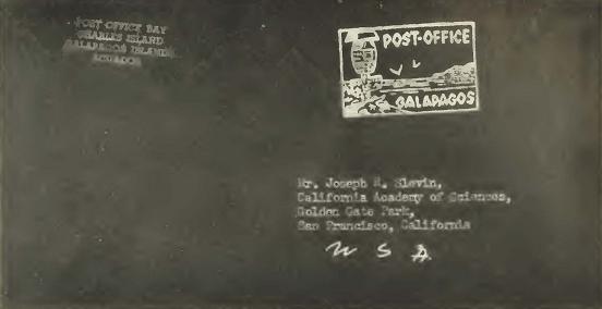 Fig. 21